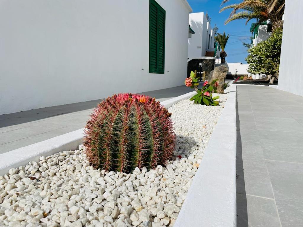 Casa Adelfa Leilighet Puerto del Carmen  Eksteriør bilde